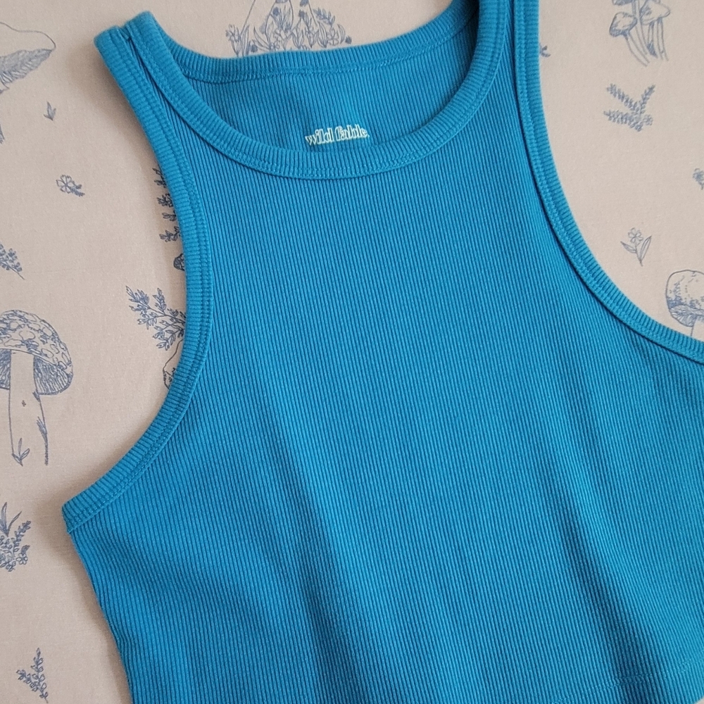 Blue Ribbed Crop Top